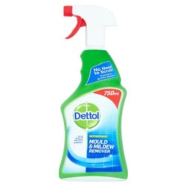 Dettol Mould & Mildew Remover 750ml